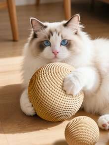 1个猫玩具猫球，超级好玩，可缓解猫咪无聊，供猫咪咀嚼、玩耍和抓挠。 - 彩色 - 查看 3