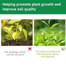 椰纤维营养基质砖，天然椰纤维配方，适用于盆栽植物、草坪，促进生根、发芽，有机栽培材料 - A - 查看 9