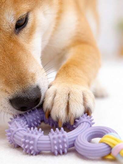 1pc New Funny Chew Bite Resistant Dental Care Tug Rope Knot TPR Rubber Soft Spike Round Ring Pet Chew Toy Suitable For Small/Medium Dogs & Cats, Boredom Relief, Interactive Training, Exercise