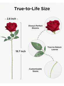 1/5/10支装 20英寸仿真红玫瑰，高端逼真花卉，适用于家居装饰、房间装饰、桌面装饰、婚礼装饰、新娘捧花、腕花、插花等。也适用于家居、餐厅、卧室、花瓶装饰、DIY生日派对蛋糕装饰、情人节和新年礼物、摄影道具、花瓶装饰、新年装饰、户外花园装饰。 - 紅色 - 查看 2