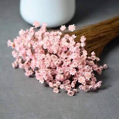 30/60/100/200Pcs,Stems Natural Dry Flowers, Brazilian Small Star Daisy Decorative Dried Flowers, Mini Daisy Chamomile Bouquet For Wedding Floral Arrangements Home Decorations Valentine's Day Gifts(15inch)