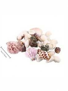 30Pcs/Bag Mix Aquarium Beach Nautical DIY Shells Mixed Bulk Sea Shell - C - View 4