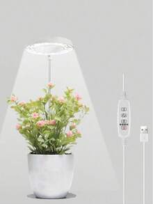 Growing Lamps