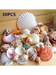 30Pcs/Bag Mix Aquarium Beach Nautical DIY Shells Mixed Bulk Sea Shell - C - View 1