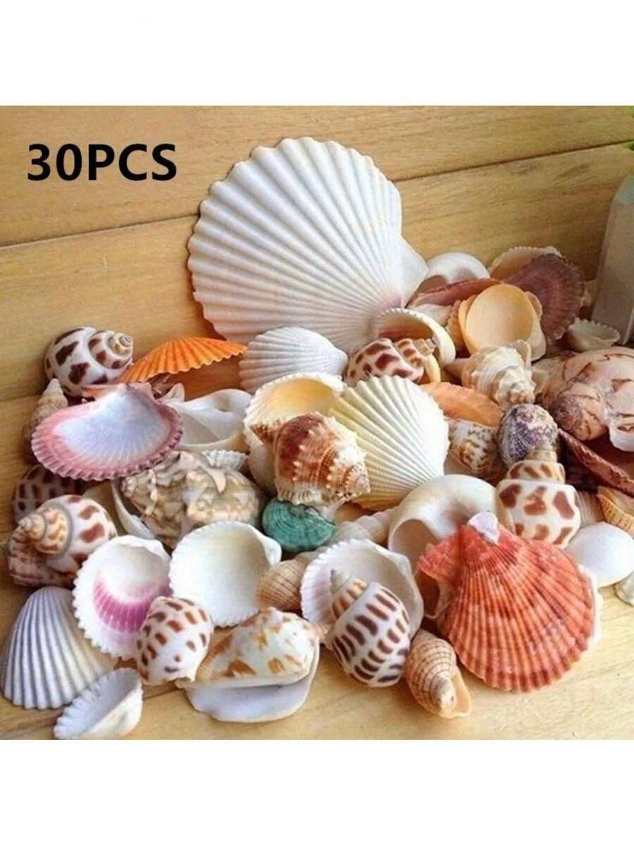30Pcs/Bag Mix Aquarium Beach Nautical DIY Shells Mixed Bulk Sea Shell - C - View 1