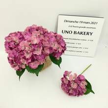 3支/6支仿真百合花，家居装饰，桌面摆件，插花，人造植物，塑料花，花园装饰，婚礼装饰，花束 - 多色/款式隨機 - 查看 16