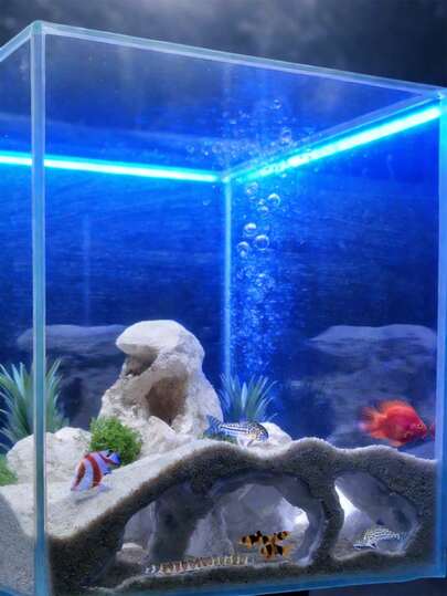 3D Printed Fish Tank Cave Tunnel - Hideaway Decor For Loaches, Plecos, Shrimps | Sunken Base + Viewing Holes | Compatible With Substrate Bedding | Needs To Be Weighted Down With Sand Or Heavy Objects For Best Results (Please Note: Due To 3D Printing, Some Slight Unevenness May Occur, Thank You For Your Understanding)