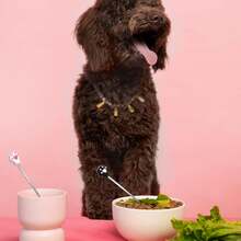 4pcs Cat Food Scoop Set - Silicone Cat Paw And Stainless Steel Mixing Spoon, Cute Cat Paw Feeding Spoon Can Scrape Off Every Bit Of Wet Food, Dishwasher , Black And White - 4pcs - View 5