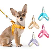 Spring New Dog Harness With Leash, Anti-Pull Dog Chest Harness With Breathable Padding And Escape-Proof Design, Quick Adjust For Dog Training And Walking, Pet Supplies, Pet Outdoor Leash Set - Multicolor - View 2