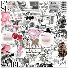50pcs Y2K Aesthetic Stickers, Including Urban Girl Stickers, Y2K Style Black & White Stickers, Urban Stickers, Leopard Print Stickers, Art Stickers, Cartoon Stickers, Graffiti Stickers, Vinyl Stickers, Suitable For Water Bottles, Tumblers, Guitars, Luggage, Phones, Phone Cases, Laptops, Skateboards, Great Gift Item. - 各種各樣的 - 查看 2