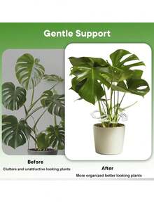 20pcs Plant Stem Support Rack, Acrylic Leaf Shaped Plant Support Stand, Acrylic Montserrat Stabilizer Clip For Climbing Plants, Turtle Shell Bamboo Clamp Set, Ideal Plant Support,Unique And Beautiful Plant Stand To Keep Plant Stems And Roots Upright For Thriving Growth Indoor Outdoor Plants,Indoor And Outdoor Climbing Plants - A - View 7