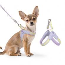 Spring New Dog Harness With Leash, Anti-Pull Dog Chest Harness With Breathable Padding And Escape-Proof Design, Quick Adjust For Dog Training And Walking, Pet Supplies, Pet Outdoor Leash Set - Multicolor - View 8