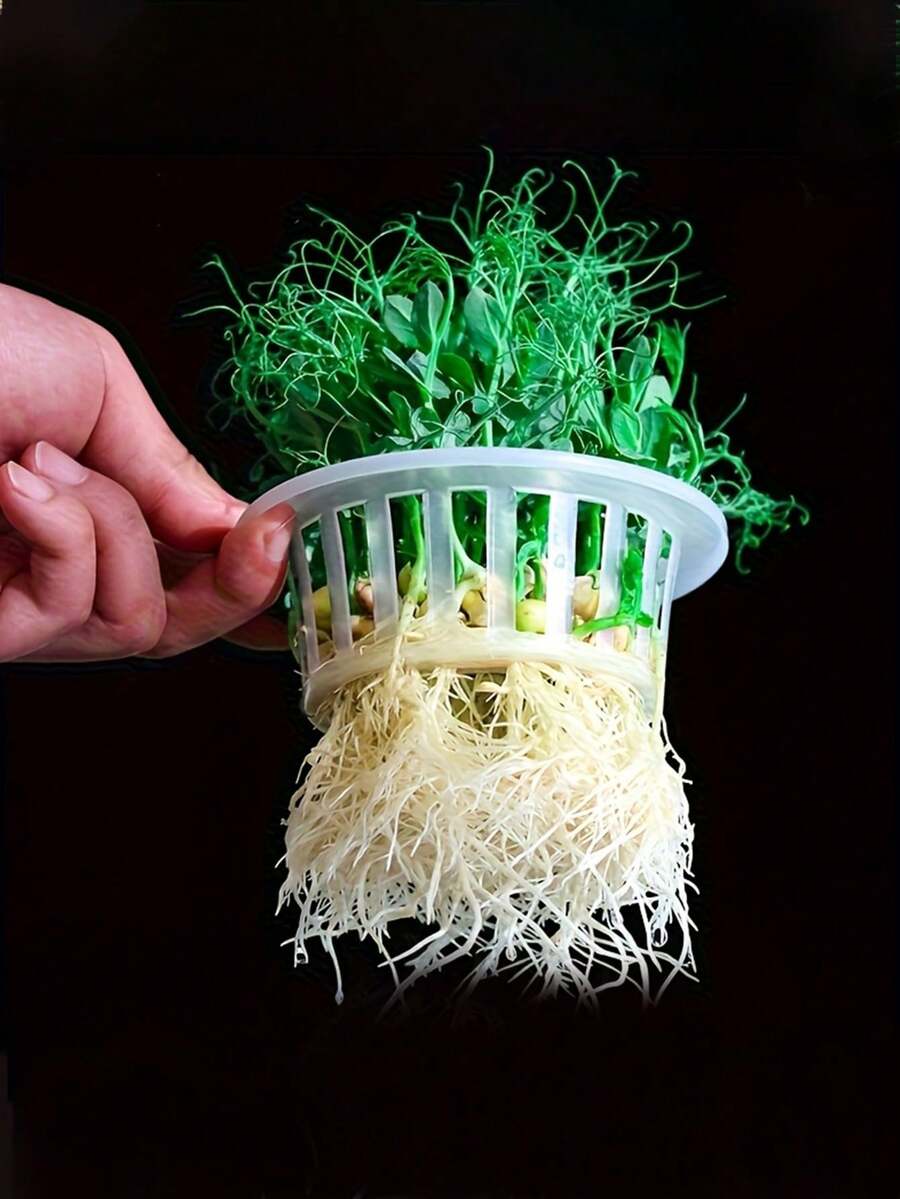 10个装水培蔬菜种植篮,适用于阳台园艺和水培,塑料材质,休闲风格,室内外均可使用。 - 定植籃+防漏片 - 查看 1