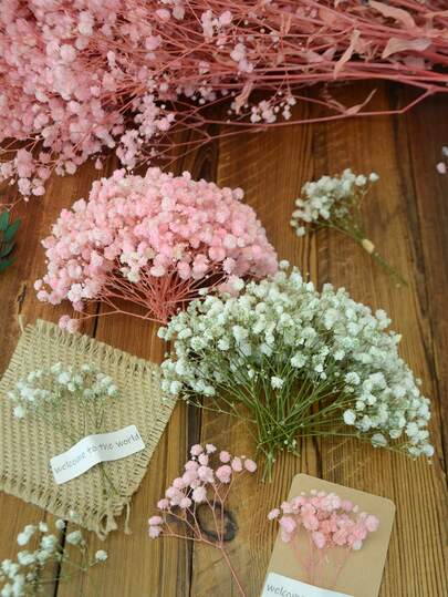 20/30/49/99/299pcs Mini Dried Baby's Breath & Other Dried Flowers - For Resin Mold Art & Crafts, Ivory White Floral Bouquet For Hair Accessories, Wedding Wreaths, Table Decor, Home Decoration