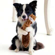 1pc Pet Plush Sound Toy, Raccoon & Squirrel Shaped Chew Toy, Suitable For Cats & Dogs, Self-Entertainment & Training, Durable & Chew-Resistant - Multicolor - View 12