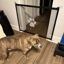 Pet Isolation Fence, Balcony Cat Isolation Net, Indoor Barrier Safety Protection, No Drilling Required, Chicken/Duck Net (Includes 4 Powerful Hooks) - Black - View 6