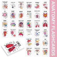 30pcs Human Anatomy System Study Cards - Medical Illustration Learning Guide Cards, Suitable For Medical Students, Doctors, Nurses - Medical Education Tool, With Detailed Labeled Anatomical Diagrams - Multicolor - View 8