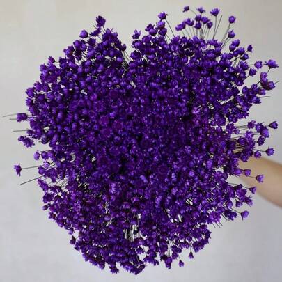 30/60/100/200pcs Natural Brazilian Starflower & Chamomile Dried Flowers - 100% Plant Material, 0.3-0.5 Inch Mini Blooms, 15 Inch Long, Wedding Floral, Home Decor, Valentine's Day Gift