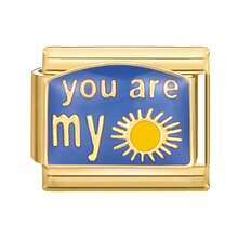 1 件装模块化卡扣手链，包含经典动物、爱心、花朵、字母、眼睛、星星元素，都市休闲风格，万圣节和圣诞节必备单品，秋季色调，本土风情，实用时尚，充满圣诞氛围，设计迷人，不锈钢材质，圣诞装饰，秋季办公室穿搭，派对穿搭指南，圣诞礼物，圣诞家居装饰 - M291342 - 查看 15