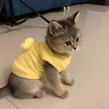 1件可爱小狗/小猫/吉娃娃宠物保暖背心，秋冬季 - 黃色 - 查看 3