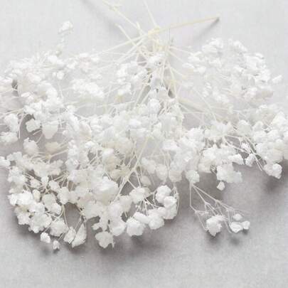 25/50/100/300 Pcs Mini Dried Baby's Breath Flower Bouquet - Suitable For Wedding, Home, Office, Party, Garden, Card Making Decor, Home Decor, DIY Artificial Flower, Christmas, Thanksgiving, Wedding, Party Decoration, Bouquet, Card Making, Vase And Frame Decor