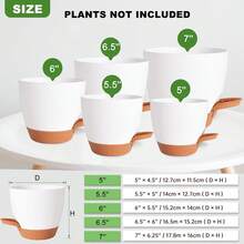 GARDIFE 7/6.5/6/5.5/5 Inch Self-Watering Planter Pots With Drainage Holes, Plastic Flower Pots, Suitable For All House Plants, Succulents, Snake Plants, African Violets, Flowers (Black, White) - A - View 7