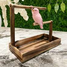 1pc Wooden Parrot Stand, Bird Perch, Bird Training Rack, Bird Toy, Bird Nest, Bird Feeder, Bird Supplies, Suitable For Parrots, Magpies And Various Birds - Brown - View 5