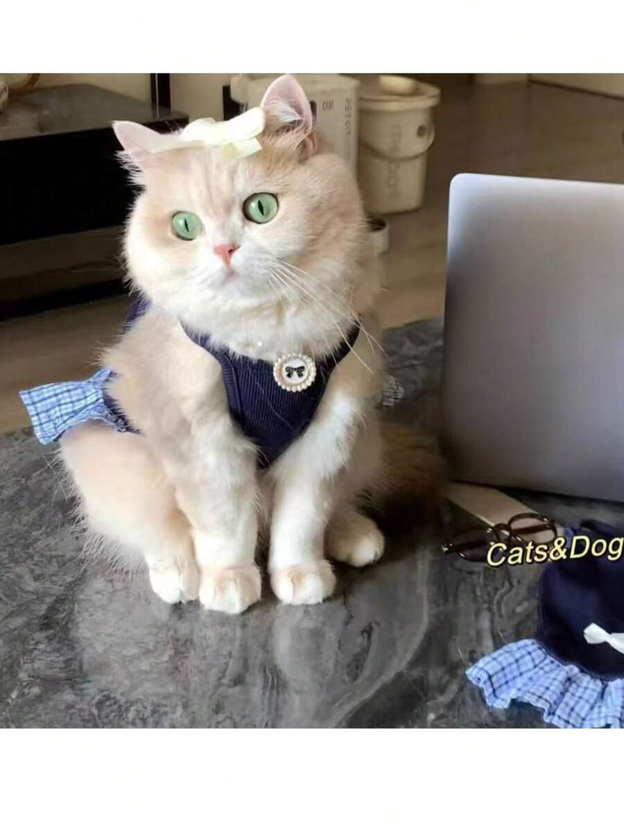 Vestido de mascota con lazo estilo aristocrático, falda linda para gato/perro, artículo popular para el Día de San Valentín, adecuado para primavera, verano, otoño e invierno