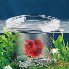 1PC Acrylic Floating Fish Breeding Isolation Box Aquarium Breeder Feeder Transparent Isolation Box Aquarium Hatchery Accessory - Multicolor - View 2
