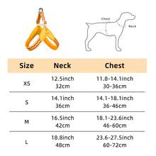 Spring New Dog Harness With Leash, Anti-Pull Dog Chest Harness With Breathable Padding And Escape-Proof Design, Quick Adjust For Dog Training And Walking, Pet Supplies, Pet Outdoor Leash Set - Multicolor - View 3