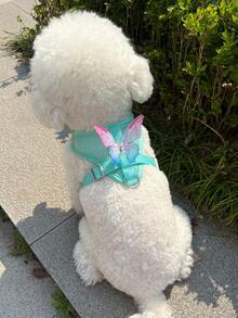 LANGXINGCS 1pc Elegant Butterfly Pet Harness & Leash Set, Polyester Butterfly Dog Harness & Leash Set With Detachable Bow Decor And Adjustable Buckle Design, Suitable For Small/Medium Cats And Dogs Indoor/Outdoor Use - Multicolor - View 4