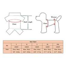 可水洗宠物生理裤，狗狗尿布，防水经期卫生裤，防骚扰宠物尿垫 - 彩色 - 查看 10