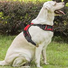 Reflective Dog Harness, No Pull Vest Harness With Handle, Adjustable Soft Padded Pet Harness For Large Dogs - 紅色 - 查看 4