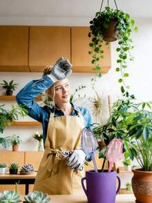 4个郁金香自动浇水球，适用于室内外植物，塑料自浇水球，室内外植物自动浇水培养器 - 多款 - 查看 8