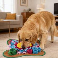 1pc Interactive Pet Training Toy For Home Entertainment - Multicolor - View 3