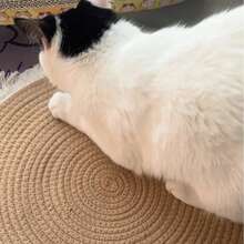 1 件不掉毛绳编织猫抓板，适合猫抓挠和休息，可作为改善氛围的家居宠物礼物 - 彩色 - 查看 9