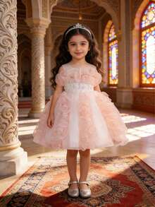 女童优雅花卉刺绣网纱公主裙，蓬蓬薄纱派对礼服，婚礼花童礼服，晚礼服 - 粉色 - 查看 2