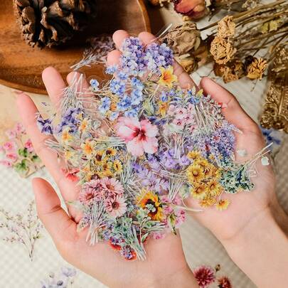 Conjunto de 50 adesivos de buquê de flores - Flores silvestres coloridas, girassóis, hibiscos - Adesivos à prova d'água para diários, scrapbooking, decoração DIY - Cores vibrantes - Perfeito para a primavera, casamentos e como presente para amantes de flores.