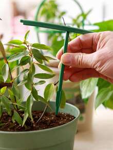 12 piezas Soportes ajustables para plantas, Marcos de soporte redondos para plantas, Estructura resistente para invernadero, Varillas de fijación para flores de interior, Estantes para trepar enredaderas - Fácil montaje, Diseño ahorra espacio, Decoración de jardín, Decoración de primavera - Soporte para plantas - Ver 4