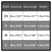 Bragas sanitarias para perros pequeños, con estampado de flores de cerezo blancas, para resolver las necesidades fisiológicas de las mascotas - Multicolor - Ver 2