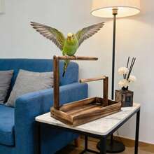 1pc Wooden Parrot Stand, Bird Perch, Bird Training Rack, Bird Toy, Bird Nest, Bird Feeder, Bird Supplies, Suitable For Parrots, Magpies And Various Birds - Brown - View 9