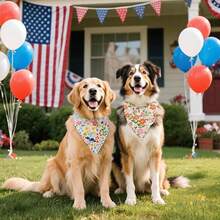 2条双面狗狗头巾，秋季花卉图案，尺寸24.8英寸×11英寸，适合小型至中型犬。 - 彩色 - 查看 3
