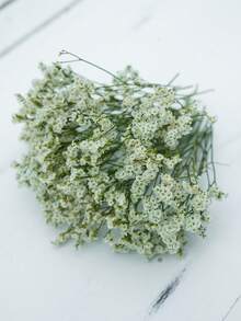 White (Crystal Grass)