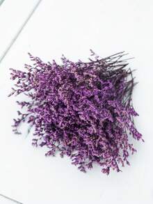 Purple (Lover's Grass)