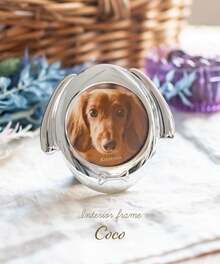 Frames And Photo Holders - Silver Dog - View 4
