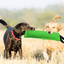 Jucărie de mestecat cu bețișor pentru dresajul câinilor, erupția dentară, ameliorarea plictiselii, potrivită pentru ciobănesc german, Malinois și alte animale de companie - Verde - Vizualizare 5