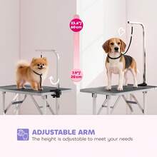PawHut Foldable Dog Grooming Table Adjustable Arm For Small Dogs 81x49x80 Cm - Black - View 3