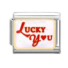 1件装滴油DIY意大利模块化手链，饰有文字、爱心、花朵元素，适合作为派对礼物送给朋友/情侣，适用于圣诞节、新年、万圣节、情人节等场合，设计迷人，不锈钢材质，本地制造，实用时尚，圣诞节和万圣节必备单品，沉稳的秋季色调，圣诞风格 - M290455 - 查看 19