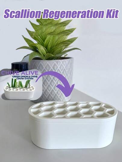 1套葱苗繁殖套装 - 无需任何技能，即可在室内种植葱苗 | 适用于阳台、窗台和小空间的紧凑型系统 | 快速繁殖葱苗