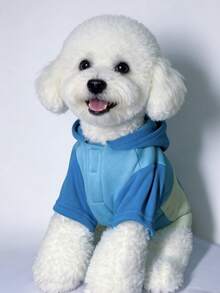 1pc 2025 New Patchwork Contrast Color Hoodie, Casual Pet Apparel For Small/Medium Dogs, Anti-Shedding, Suitable For Pets Like Poodle, Yorkie, Bichon Frise, Autumn/Winter - Baby Blue - View 6